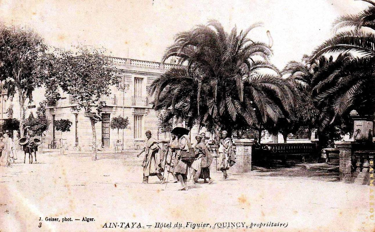 Ain-Taya - Hotel du Figuier .jpg